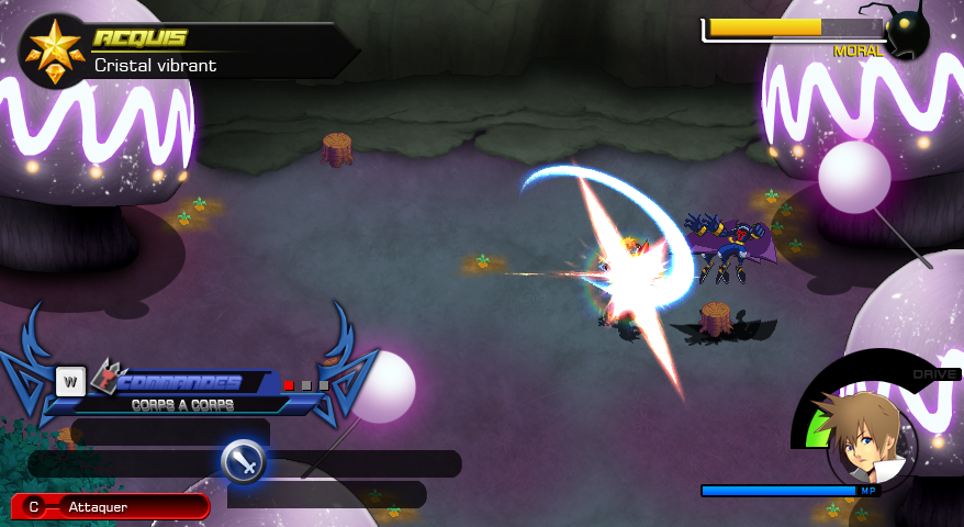 Kingdom Hearts Rebirth 2 - Page 5 Screen-450311d