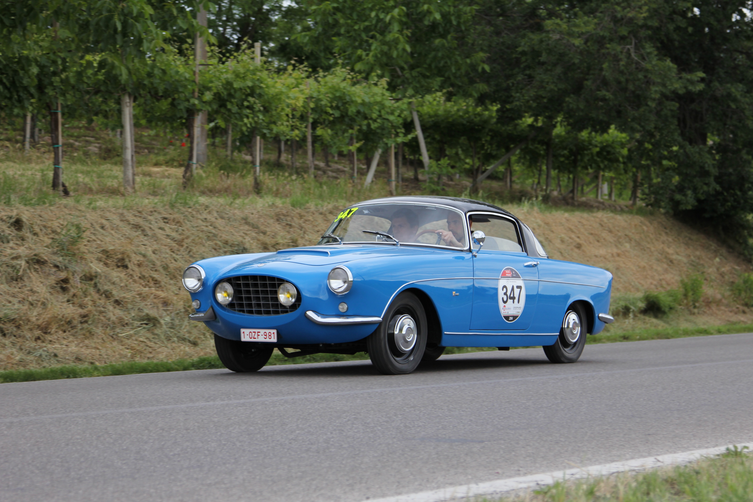 img_2680-45e97e4.jpg