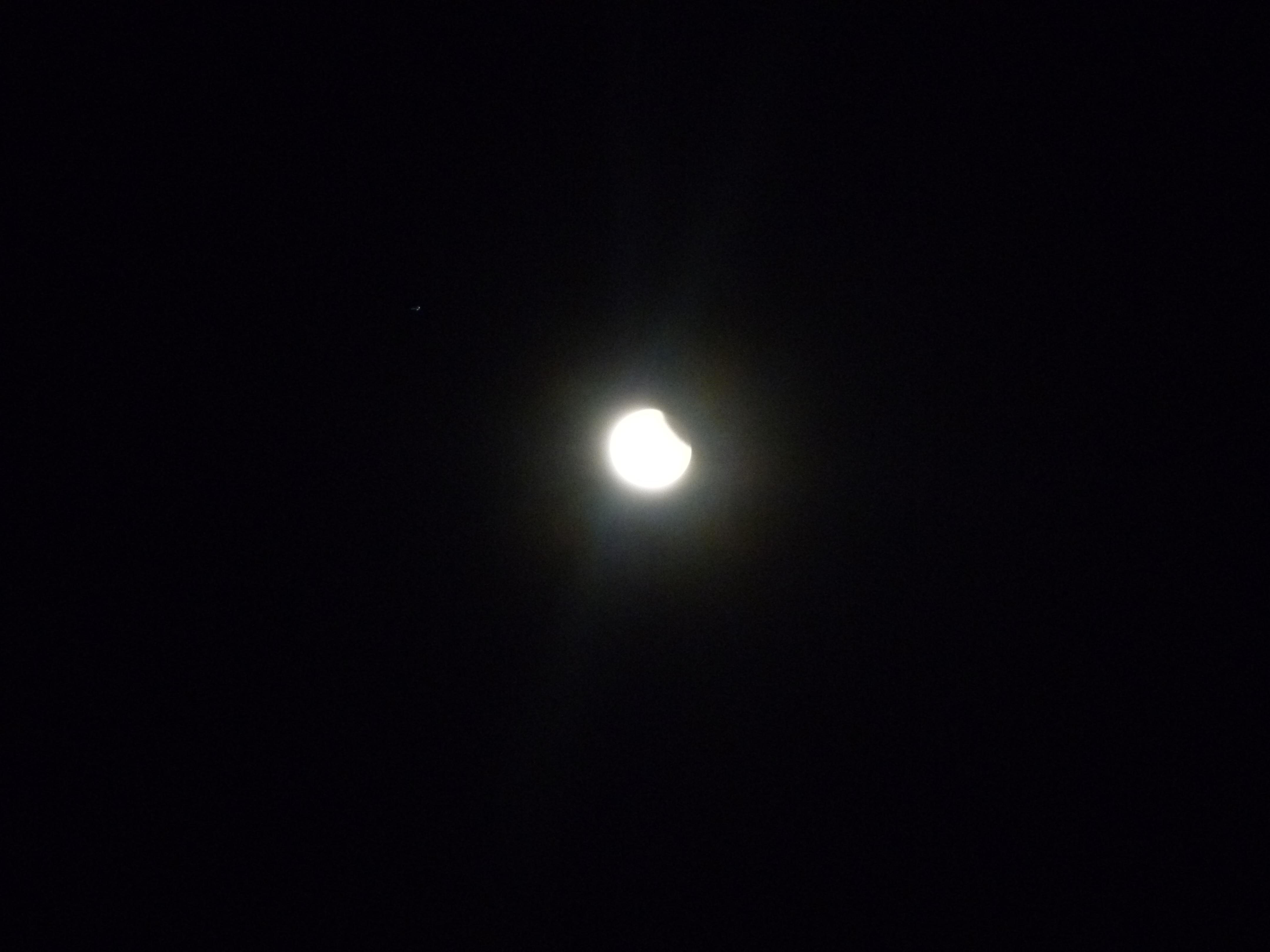 p1040094-4514970.jpg